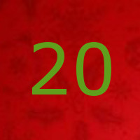 20