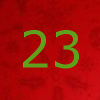 23